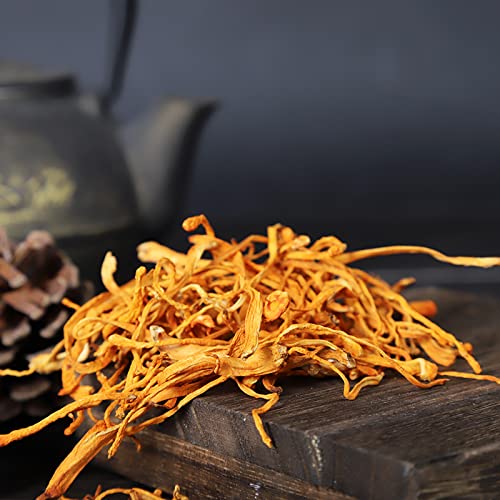 Cordyceps - Afbeelding 3