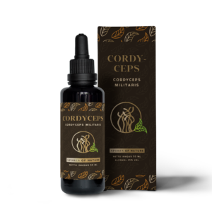 Cordyceps