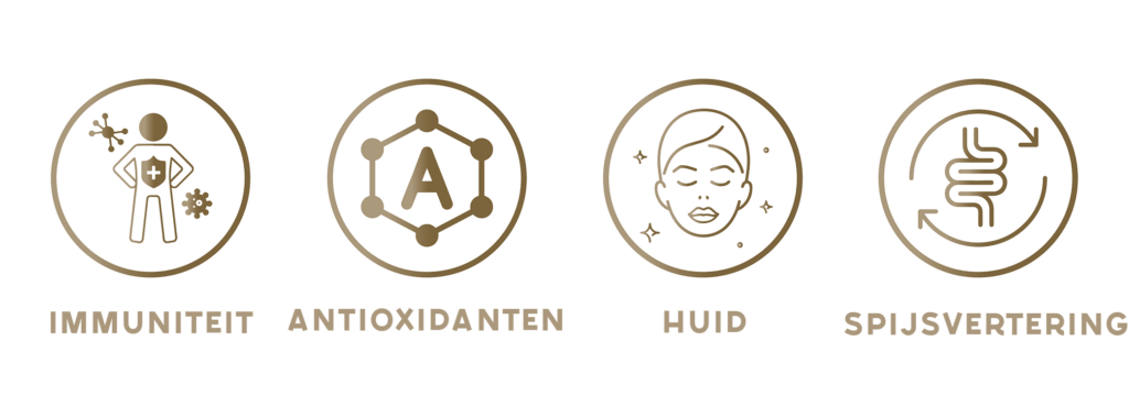 Chaga iconen - horizontaal